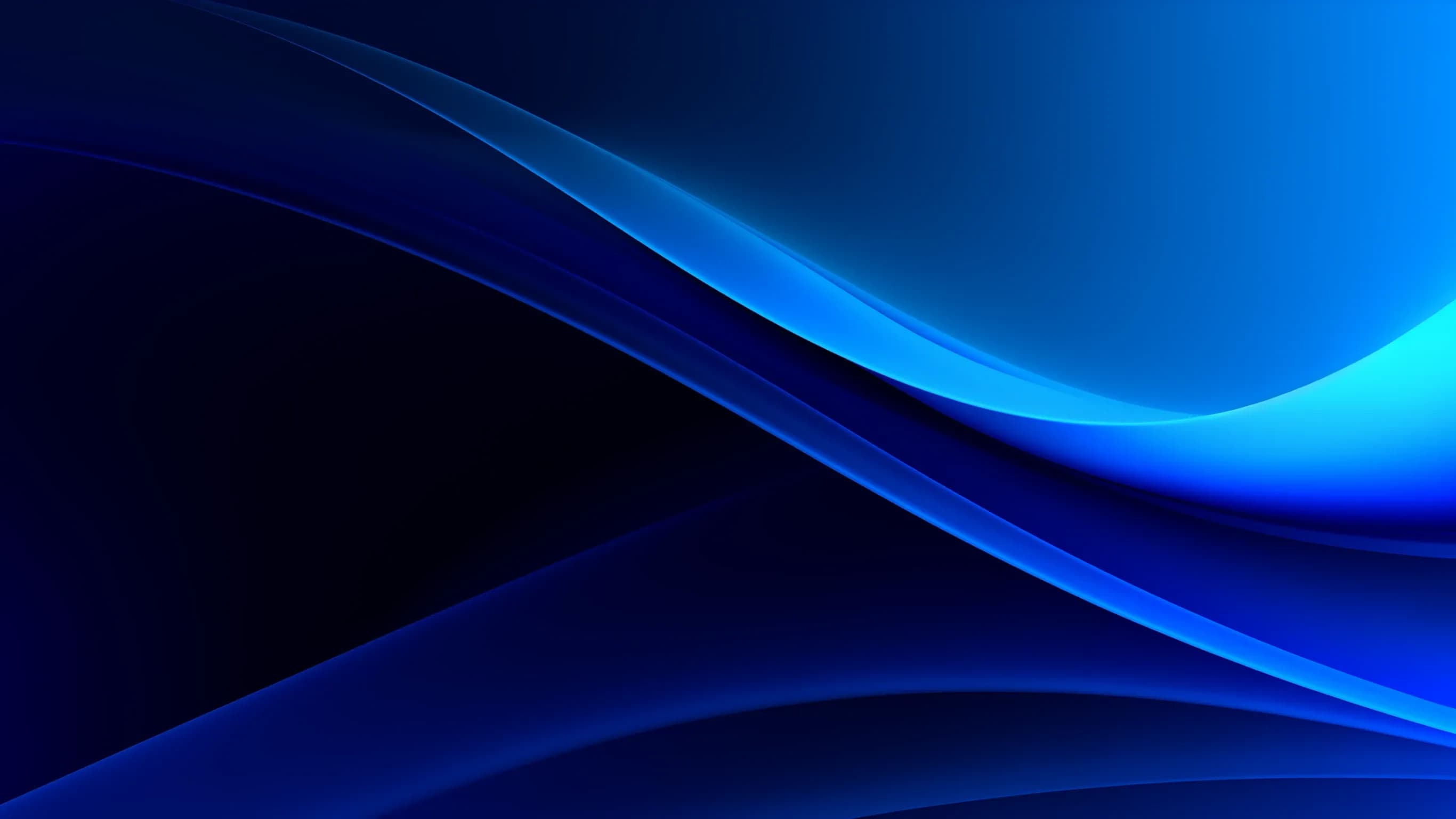 Key Insights for the Clients