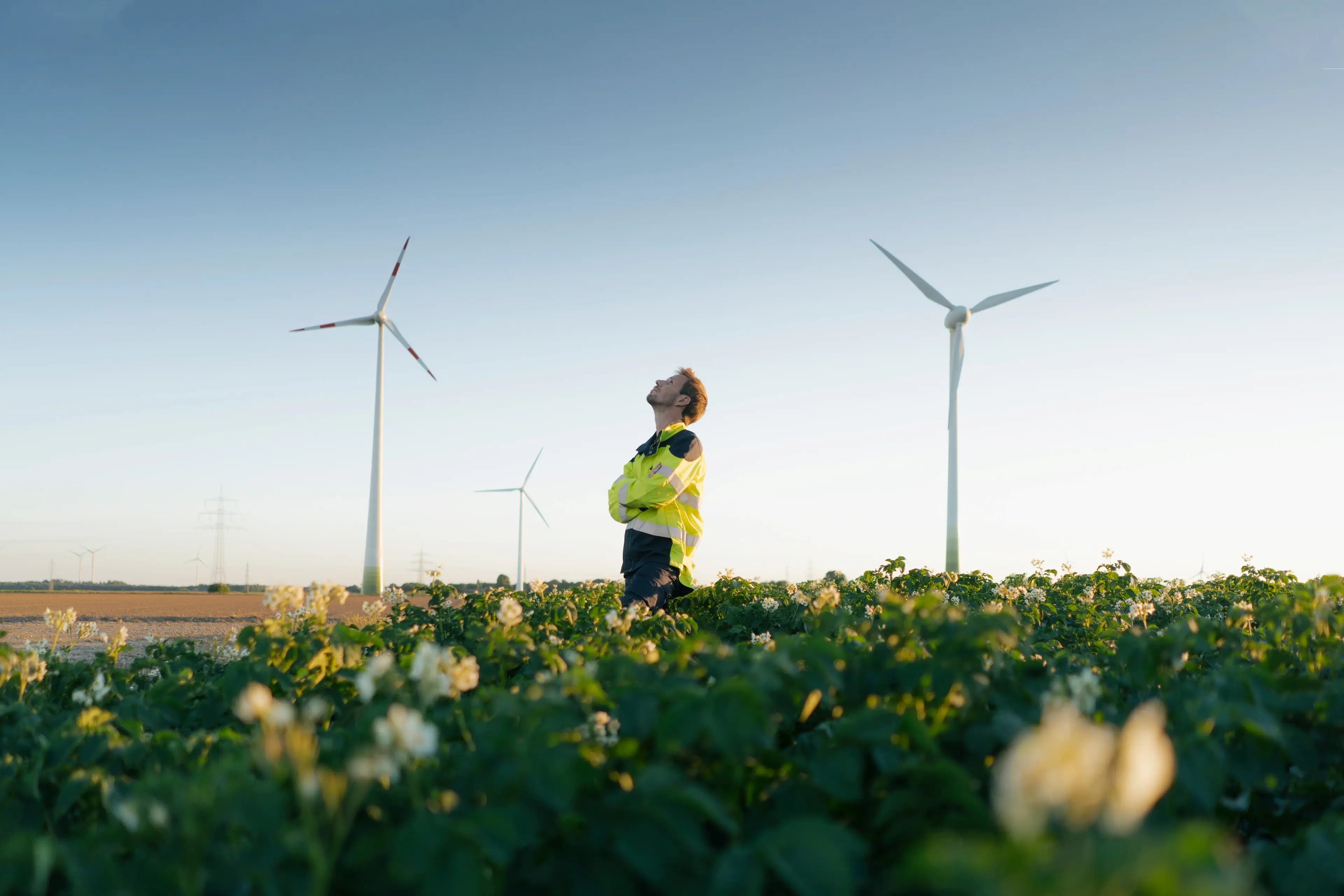 Energy and natural resources