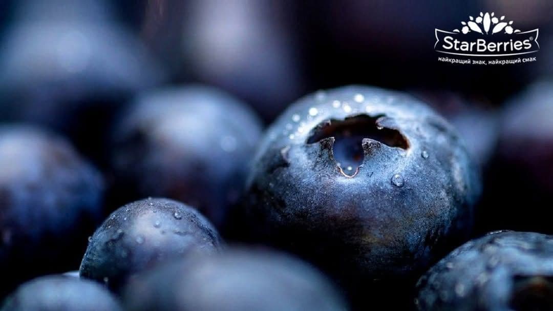 Впорядкована оренда землі — успішне господарство: кейс ФГ «ГРАСС АВЕНЮ»