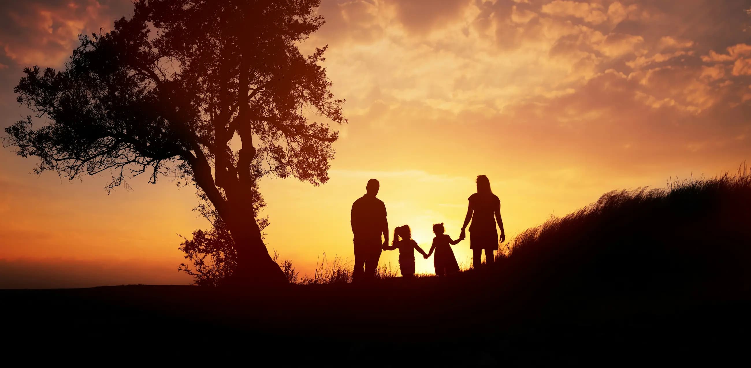 Family and Inheritance Law
