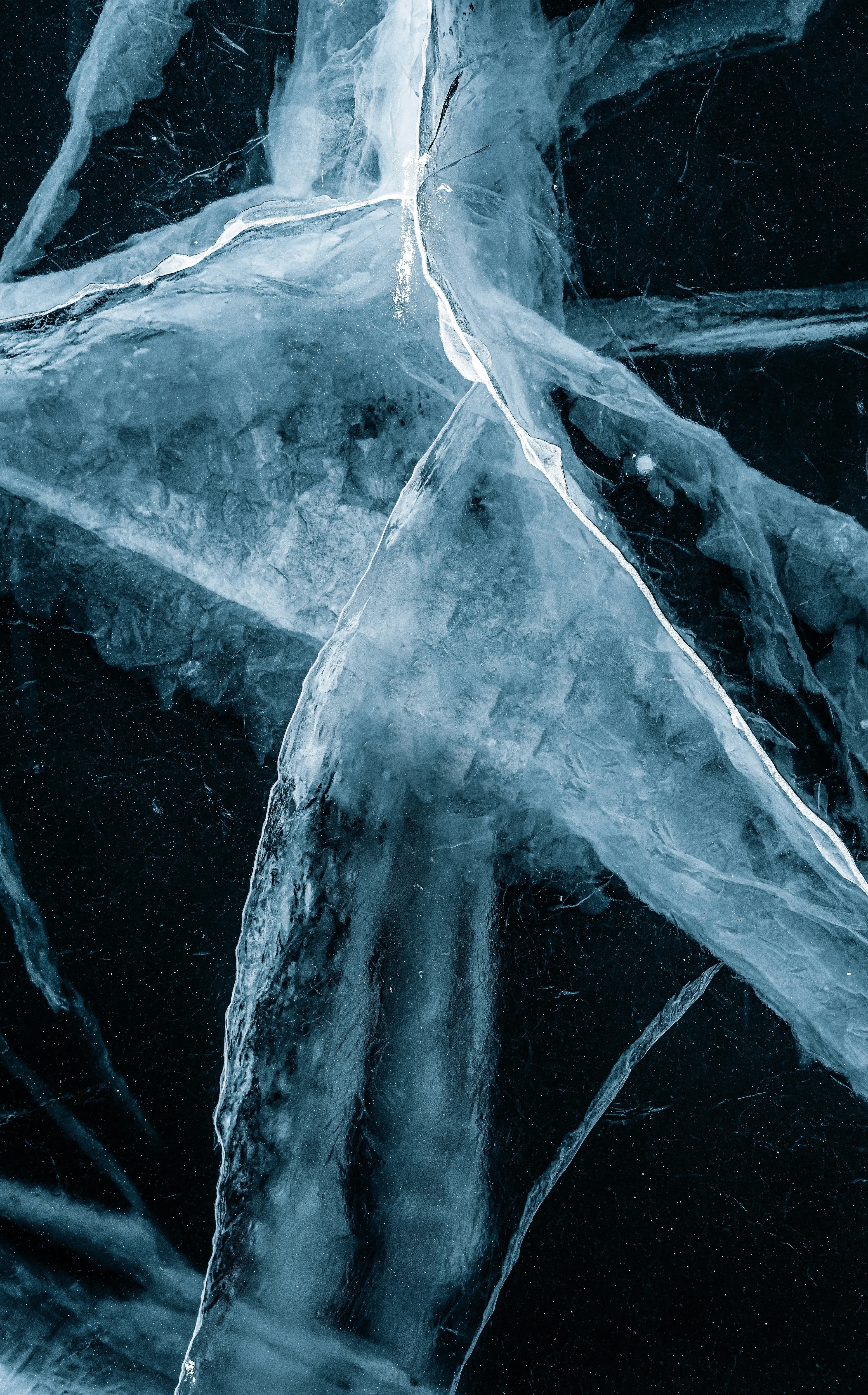 Public registers access restriction: new regulations under Draft Law № 11533