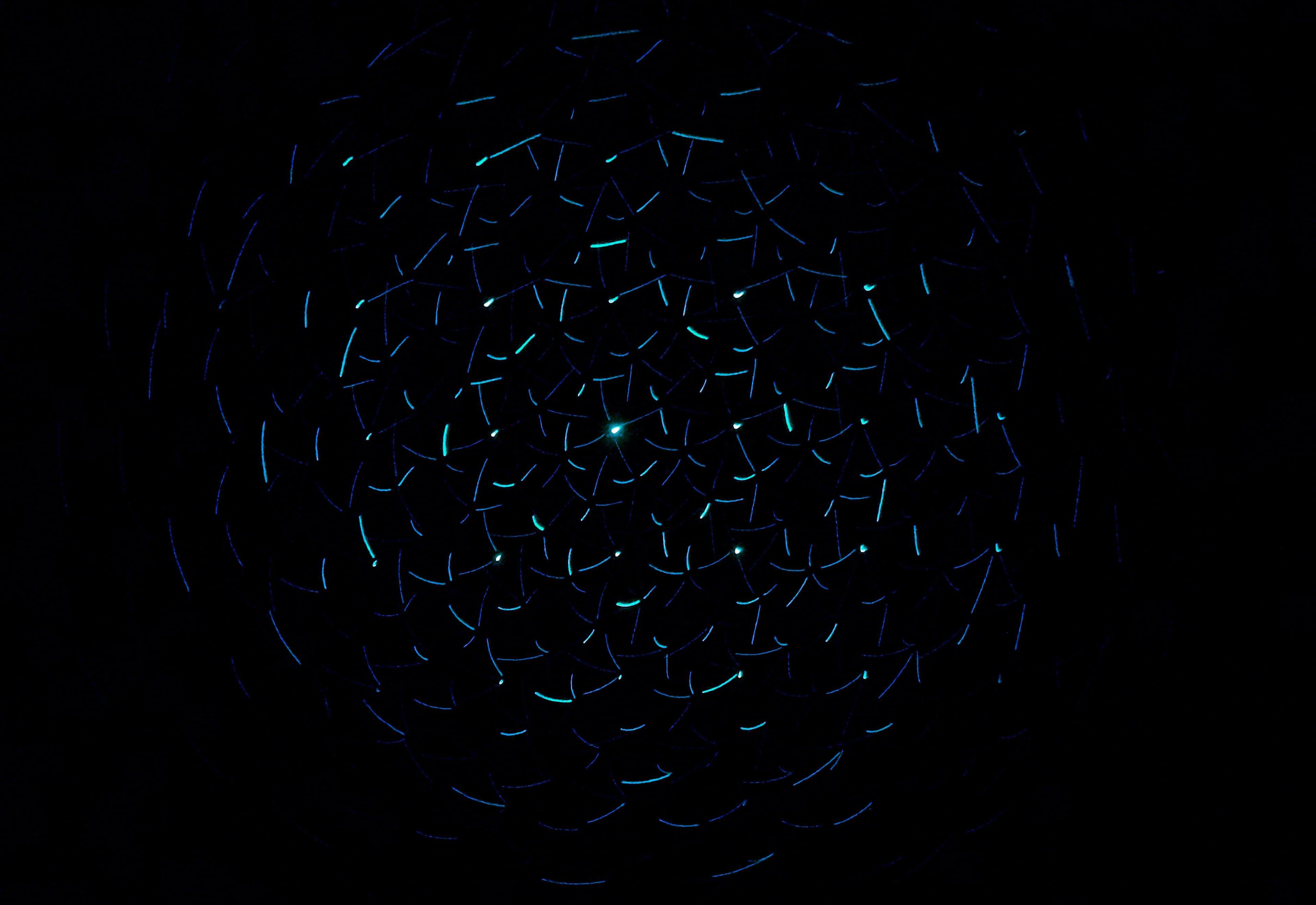 backgound image